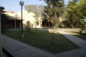 011 Patio Central