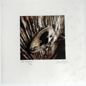 001 Latino Impreso MUNT 12-2011